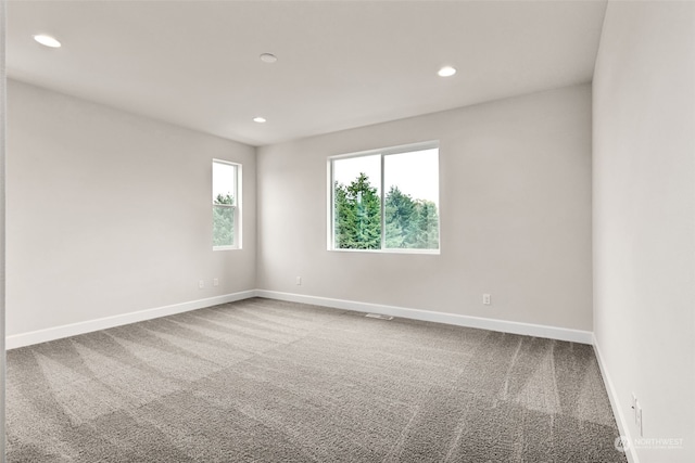 spare room featuring carpet floors