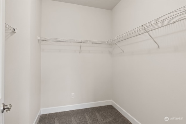 spacious closet with carpet floors