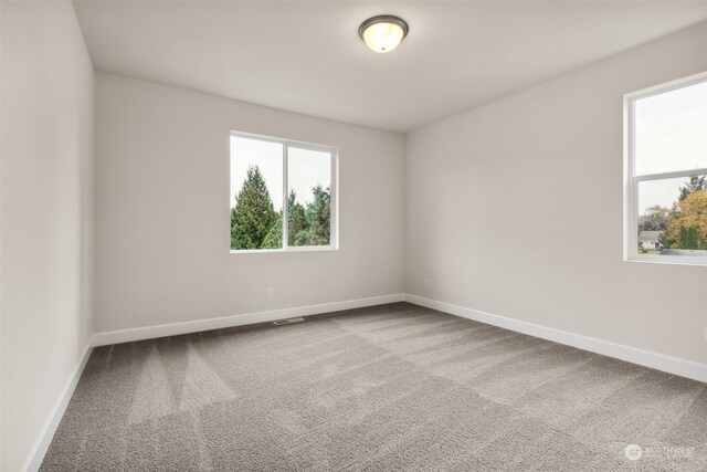 unfurnished room featuring carpet