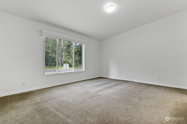 empty room with carpet flooring