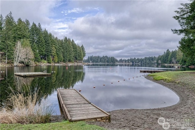 view of dock featuring a water view