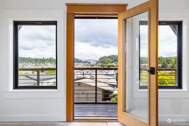 entryway with plenty of natural light