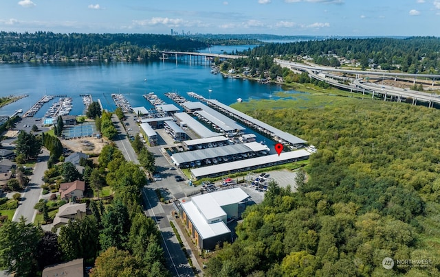 bird's eye view with a water view