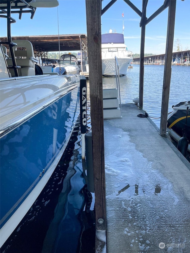 dock area with a water view