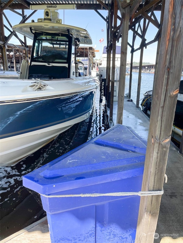 dock area with a water view