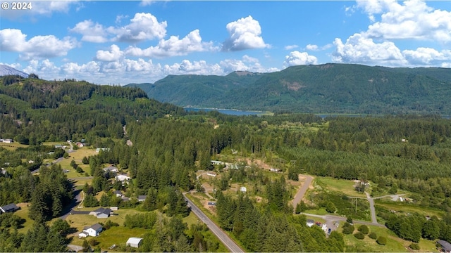 bird's eye view with a mountain view