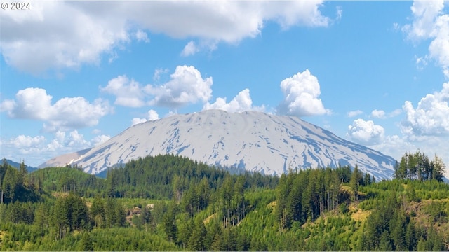 view of mountain feature