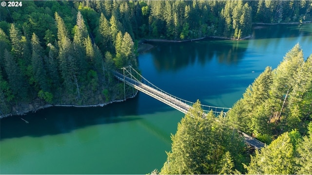 bird's eye view with a water view