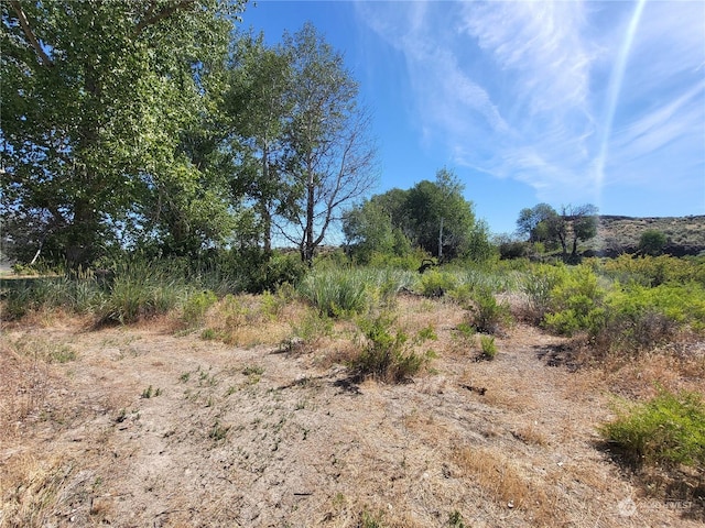 19981 Rd 22 NE, Marlin, WA 98832
