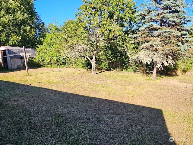 view of yard featuring a storage unit