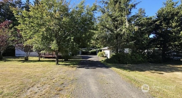 view of road with driveway