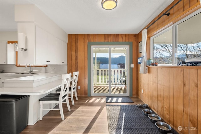 doorway featuring light hardwood / wood-style floors, sink, and wooden walls