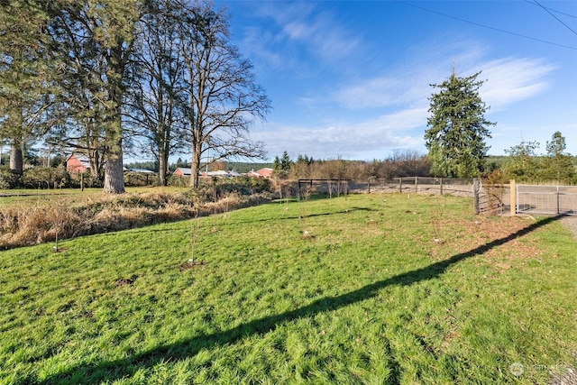 view of yard with a rural view