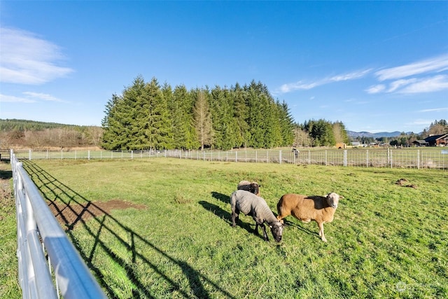 view of yard with a rural view