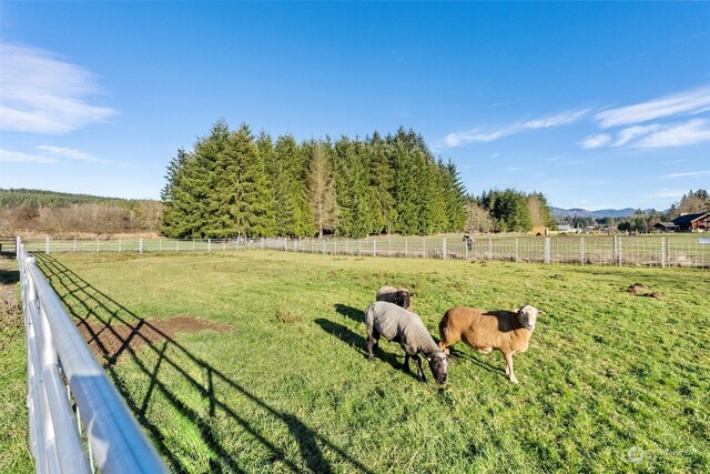3142 State Route 508, Onalaska, WA 98570 - photo 37