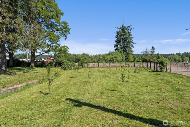 3142 State Route 508, Onalaska, WA 98570 - photo 5