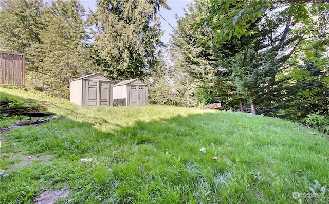 view of yard featuring a storage unit