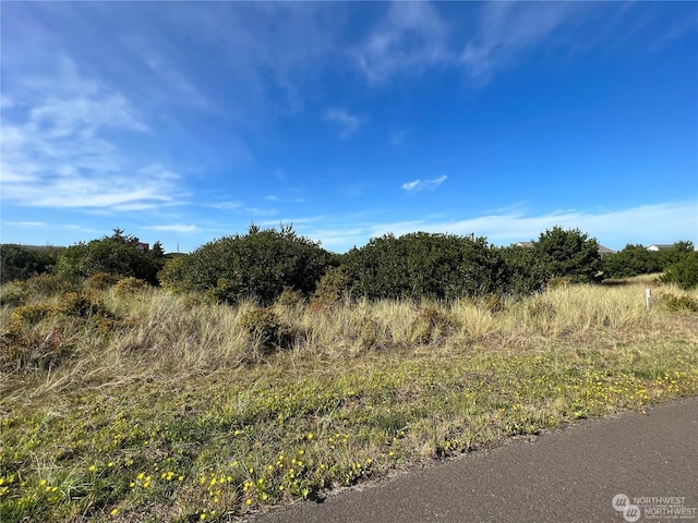 432 N Spinnaker St SW, Ocean Shores, WA 98569