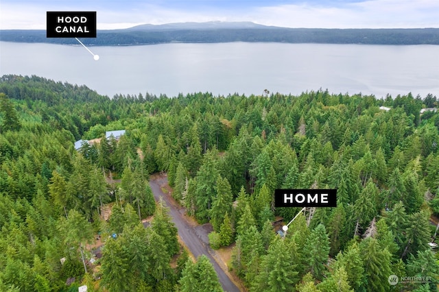 birds eye view of property with a water and mountain view