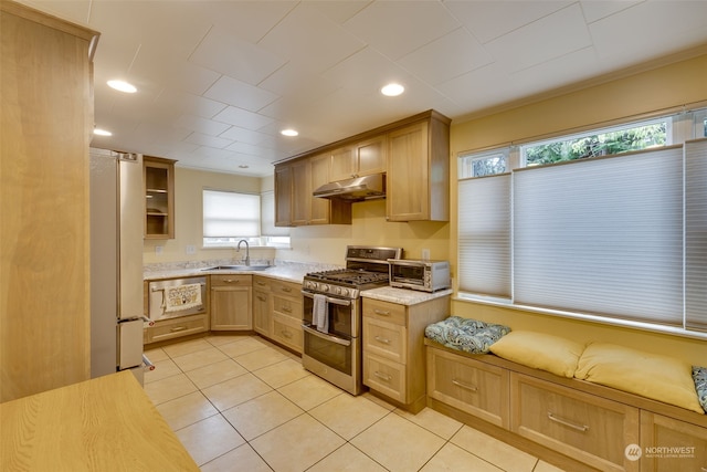 kitchen featuring white refrigerator, double oven range, plenty of natural light, and sink