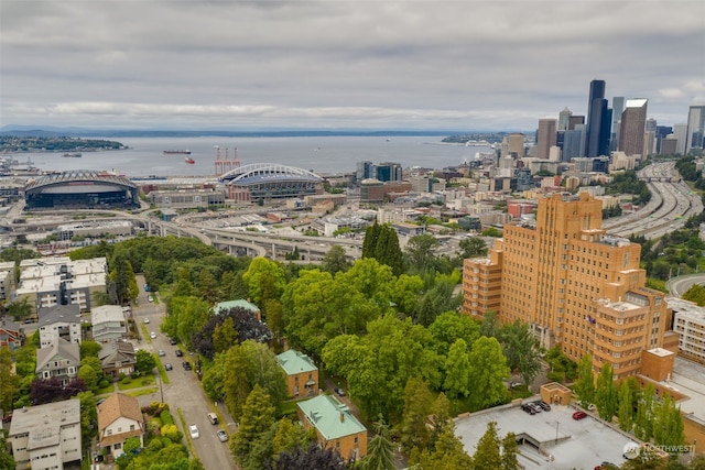 aerial view with a water view