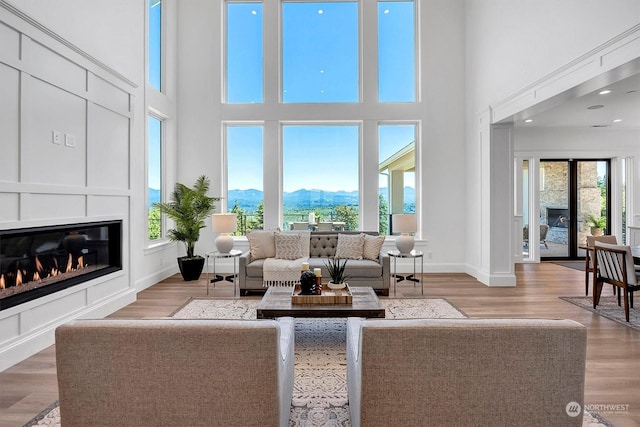 living room featuring a mountain view, a high ceiling, and light hardwood / wood-style floors