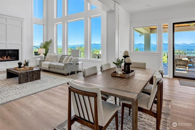 dining area with a mountain view and light hardwood / wood-style floors