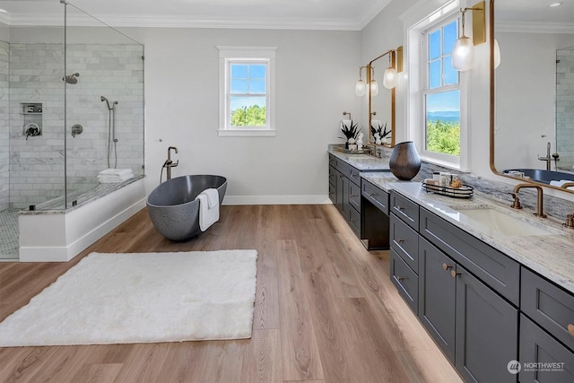 bathroom with hardwood / wood-style flooring, vanity, separate shower and tub, and a healthy amount of sunlight