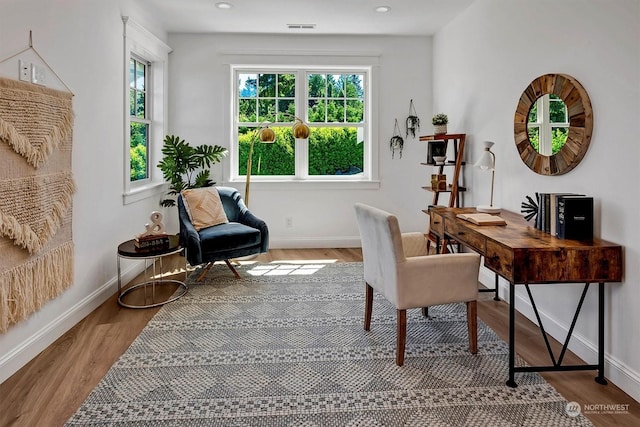 office space with a wealth of natural light and wood-type flooring