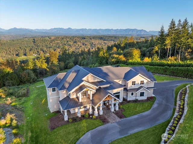 aerial view with a mountain view