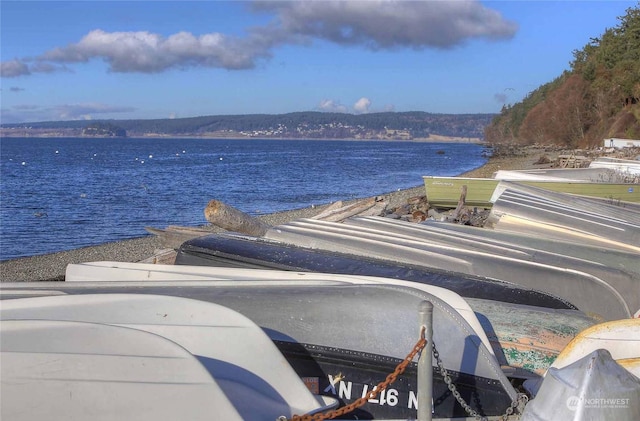 171 Horizon Way, Camano Island, WA 98282 - photo 39