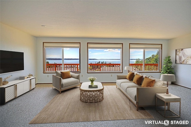 171 Horizon Way, Camano Island, WA 98282 - living room with carpet flooring and baseboards