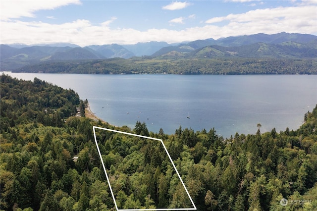 06.7ACRES Seabeck Holly Rd W, Seabeck, WA 98380 - photo 6