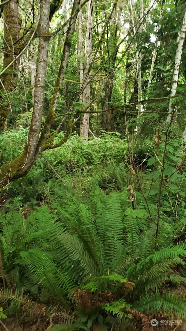 06.7ACRES Seabeck Holly Rd W, Seabeck, WA 98380 - photo 16