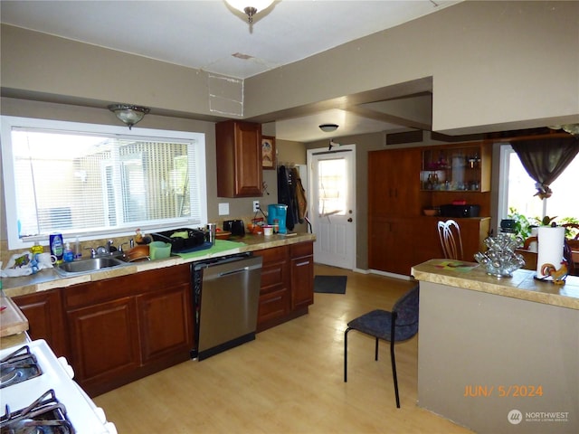 kitchen with sink, stainless steel dishwasher, light hardwood / wood-style floors, and a healthy amount of sunlight