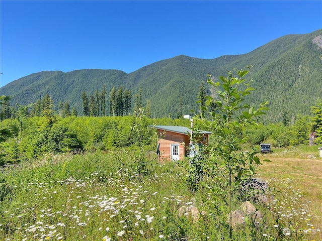 view of mountain feature