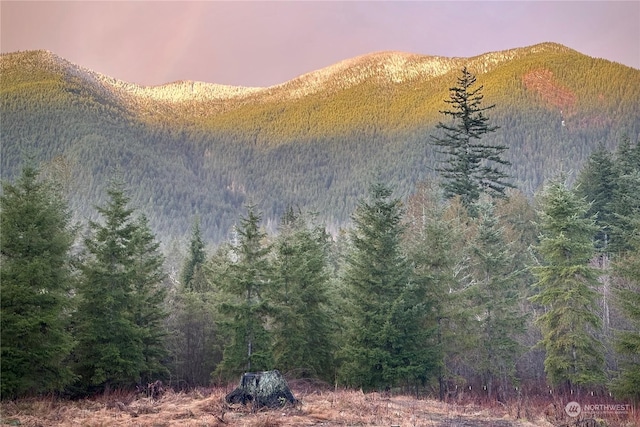 property view of mountains