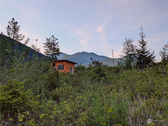 2660 Wildwood Dr, Quilcene, WA 98376 - photo 29