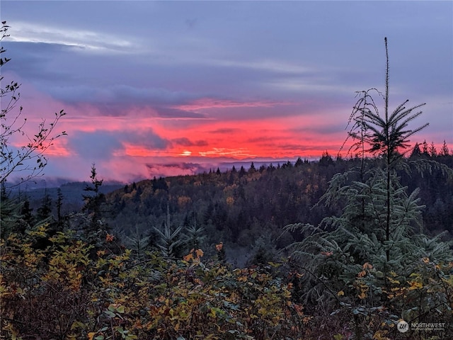 view of nature at dusk