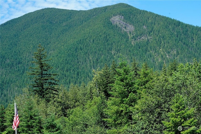 view of mountain feature