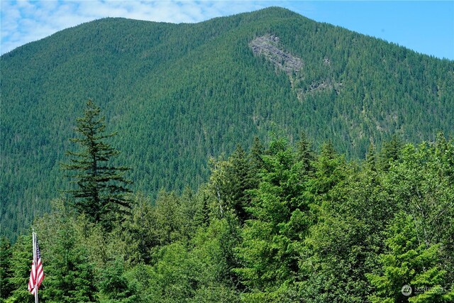 2660 Wildwood Dr, Quilcene, WA 98376 - photo 30