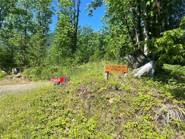 2660 Wildwood Dr, Quilcene, WA 98376 - photo 38