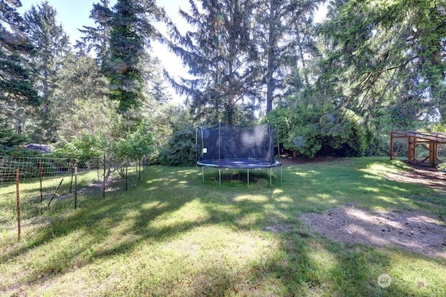 view of yard with a trampoline