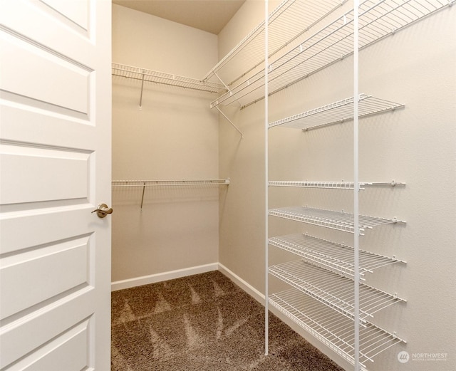 walk in closet featuring dark colored carpet