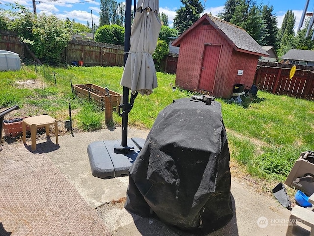 view of yard with a storage shed