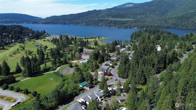 birds eye view of property with a water and mountain view