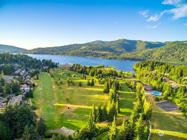 bird's eye view featuring a water and mountain view