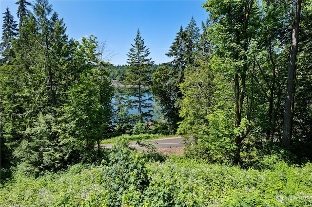 Listing photo 3 for 301 E Shorecrest Dr, Shelton WA 98584