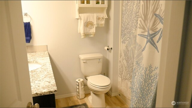 bathroom featuring a shower with curtain, vanity, toilet, and wood-type flooring