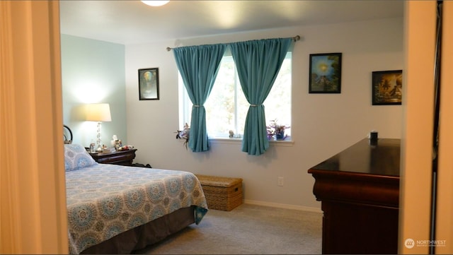 bedroom featuring carpet floors